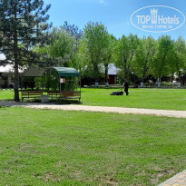 фото из отзыва ID 2339780