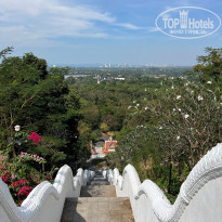 фото из отзыва ID 2339368