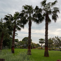 фото из отзыва ID 2339238