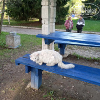 фото из отзыва ID 2338552