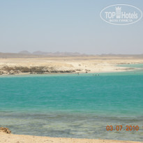 фото из отзыва ID 234406