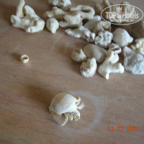 фото из отзыва ID 234406