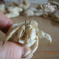 фото из отзыва ID 234406