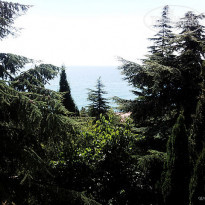 фото из отзыва ID 234014