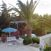 фото из отзыва ID 234309