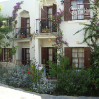 фото из отзыва ID 234629