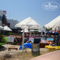 фото из отзыва ID 234629