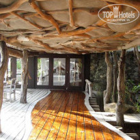 фото из отзыва ID 234650