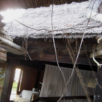 фото из отзыва ID 234650