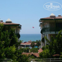 фото из отзыва ID 234874