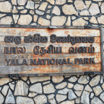 фото из отзыва ID 2340118