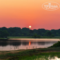 фото из отзыва ID 2340118