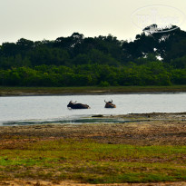 фото из отзыва ID 2340118