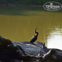 фото из отзыва ID 2340118