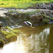 фото из отзыва ID 2340118