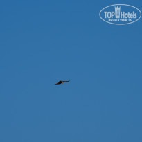 фото из отзыва ID 2340118