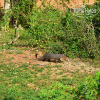 фото из отзыва ID 2340118