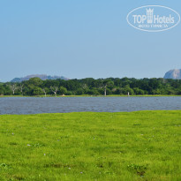 фото из отзыва ID 2340118