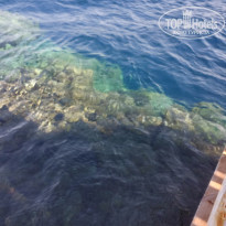 фото из отзыва ID 2340230