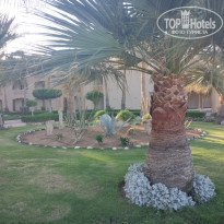 фото из отзыва ID 2340230