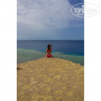 фото из отзыва ID 2340575