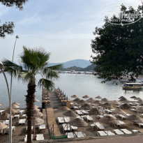 фото из отзыва ID 2340679