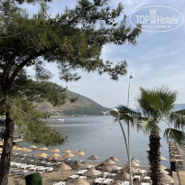 фото из отзыва ID 2340679