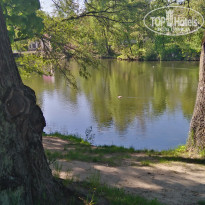 фото из отзыва ID 2340726