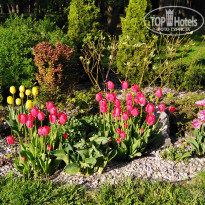 фото из отзыва ID 2340726