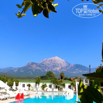 фото из отзыва ID 2340788