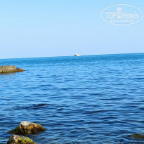 фото из отзыва ID 2341062