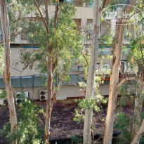 фото из отзыва ID 2341080