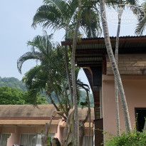 фото из отзыва ID 2341126