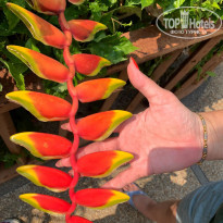 фото из отзыва ID 2341126