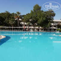 фото из отзыва ID 2341286