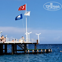 фото из отзыва ID 2341297