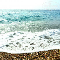 фото из отзыва ID 2341297