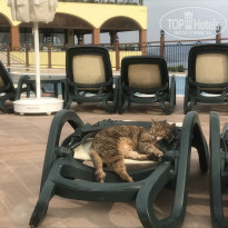 фото из отзыва ID 2341312