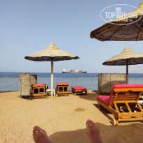 фото из отзыва ID 2341326