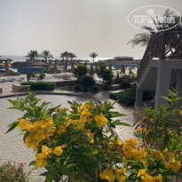 фото из отзыва ID 2341392