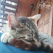 фото из отзыва ID 2341429