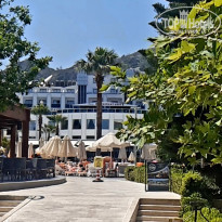 фото из отзыва ID 2341455