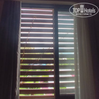 фото из отзыва ID 2341527