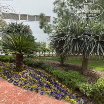 фото из отзыва ID 2341572