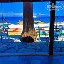 фото из отзыва ID 2341592