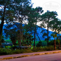 фото из отзыва ID 2341592