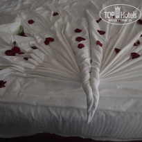 фото из отзыва ID 2341629