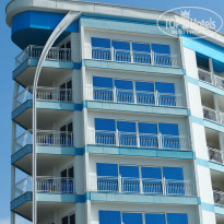 фото из отзыва ID 2341629