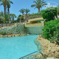 фото из отзыва ID 2341801