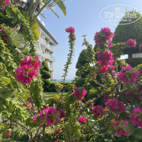 фото из отзыва ID 2342007